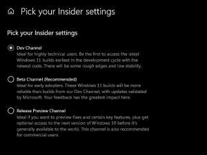 How to Download Windows 11 Dev Channel through Windows Insider Program