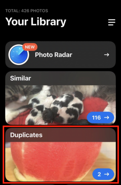 How to Find and Delete Duplicate Photos on iPhone Using Gemini Photos