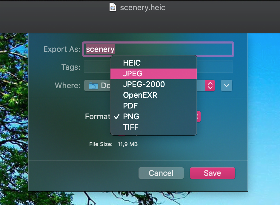 How to Convert HEIC to JPEG with Preview