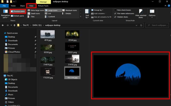 How to Show Details Pane or Preview in Windows Explorer
