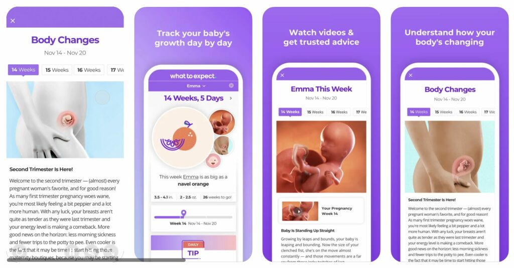 Pregnancy Baby Tracker WTE