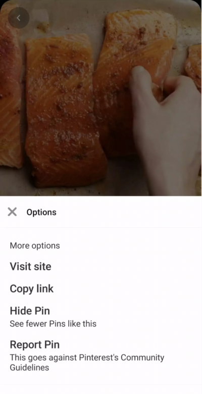 How to Download Videos from Pinterest
